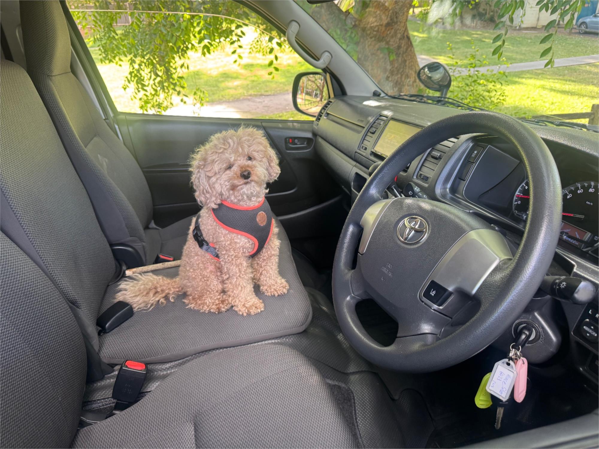 2018 TOYOTA HIACE AUTOMATIC VAN