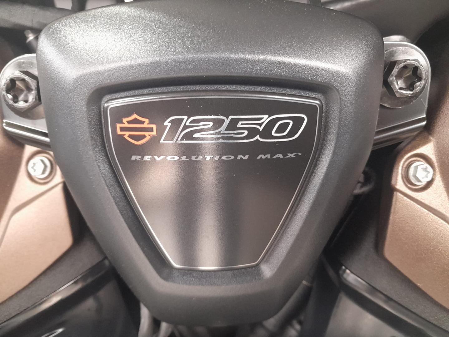2023 HARLEY-DAVIDSON SPORTSTER S (RH1250S) CRUISER