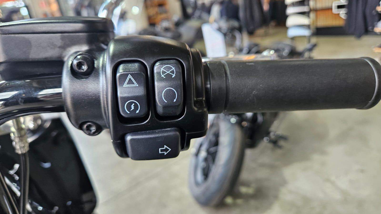 2020 HARLEY-DAVIDSON HERITAGE CLASSIC 114 (FLHCS) CRUISER
