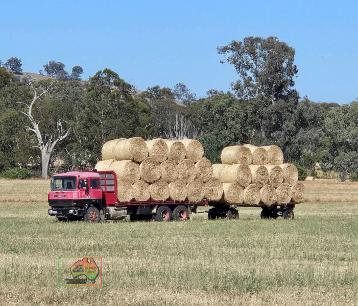 (11101) ROLLS OF RYE & BARLEY HAY ($/ROLL)