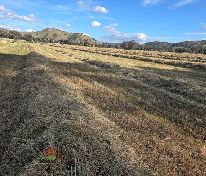 (11101) ROLLS OF RYE &AMP; BARLEY HAY ($/ROLL)