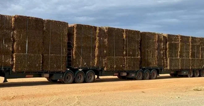 BARKER DROP DECK TRAILER