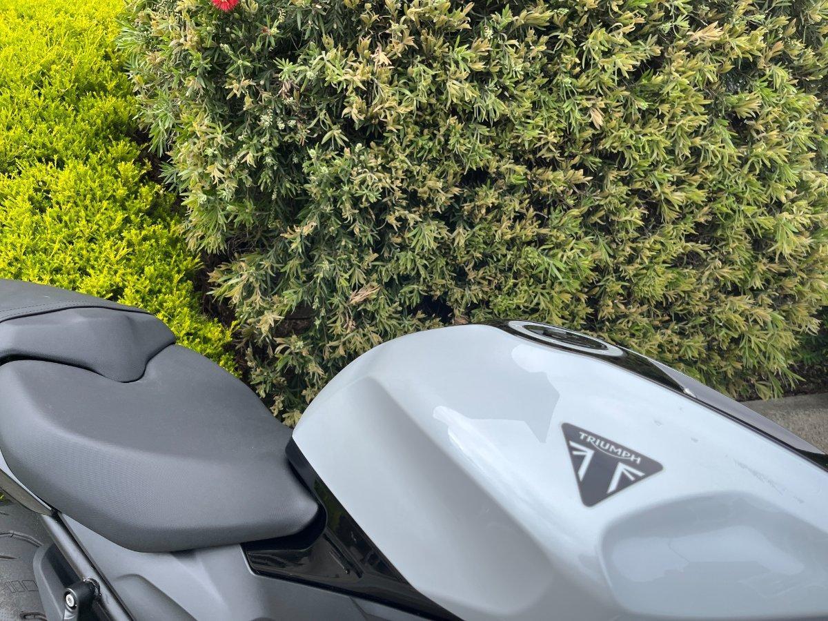 2024 TRIUMPH DAYTONA 660 ROAD