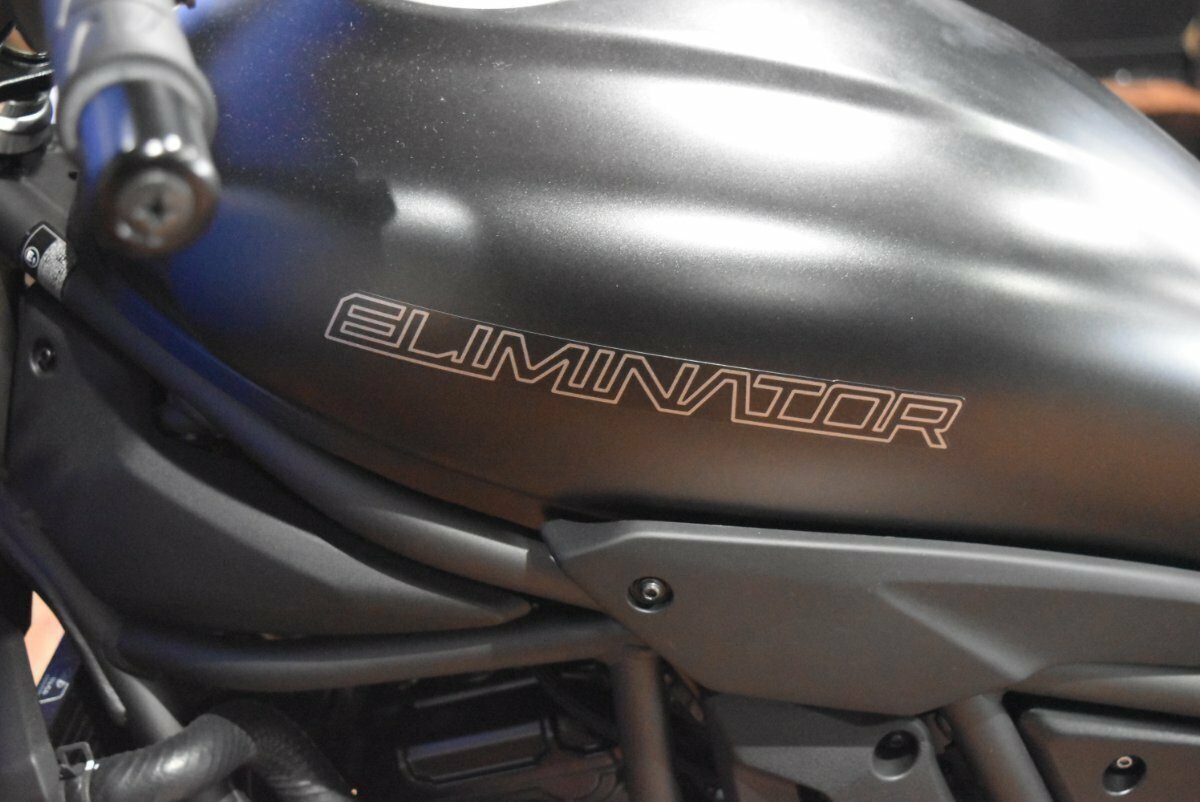 2025 KAWASAKI ELIMINATOR CRUISER