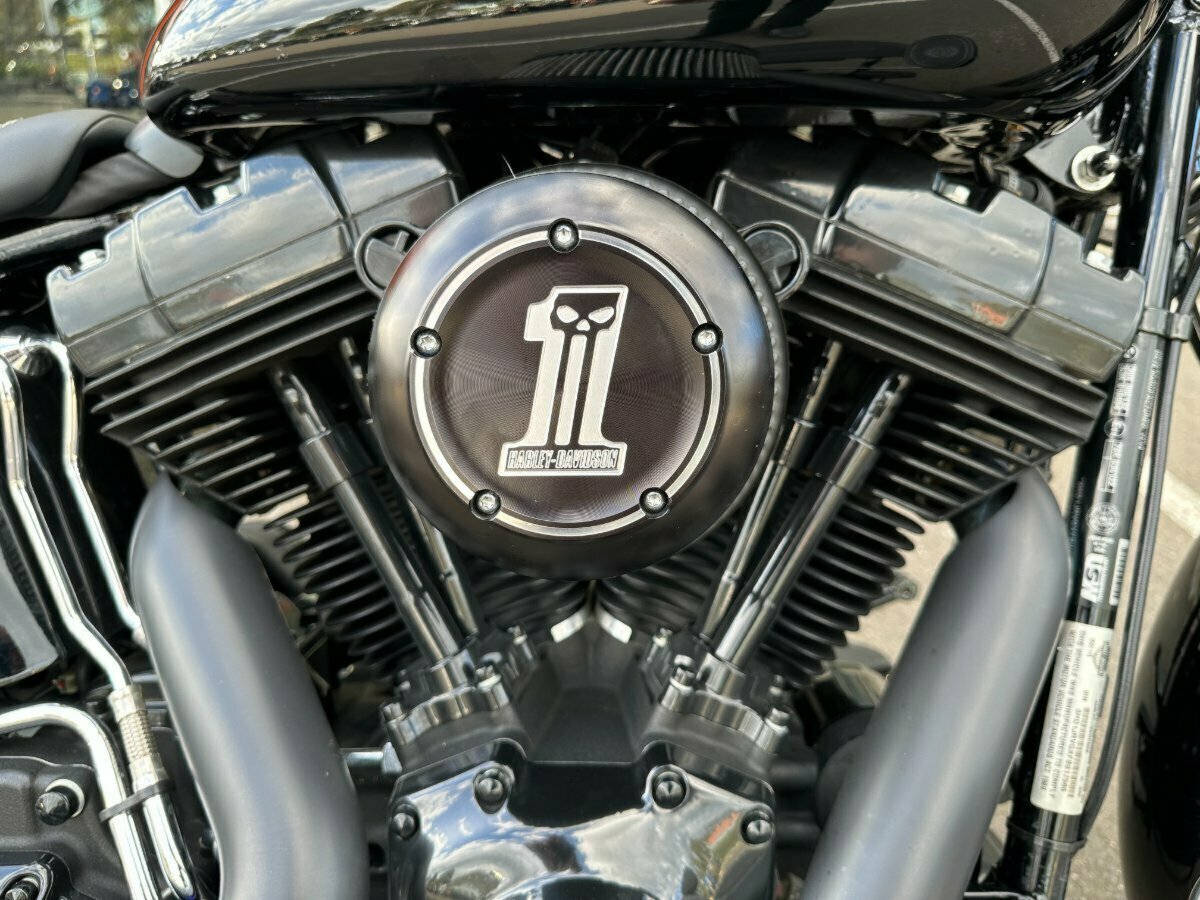 2015 HARLEY-DAVIDSON FLS SOFTAIL SLIM CRUISER
