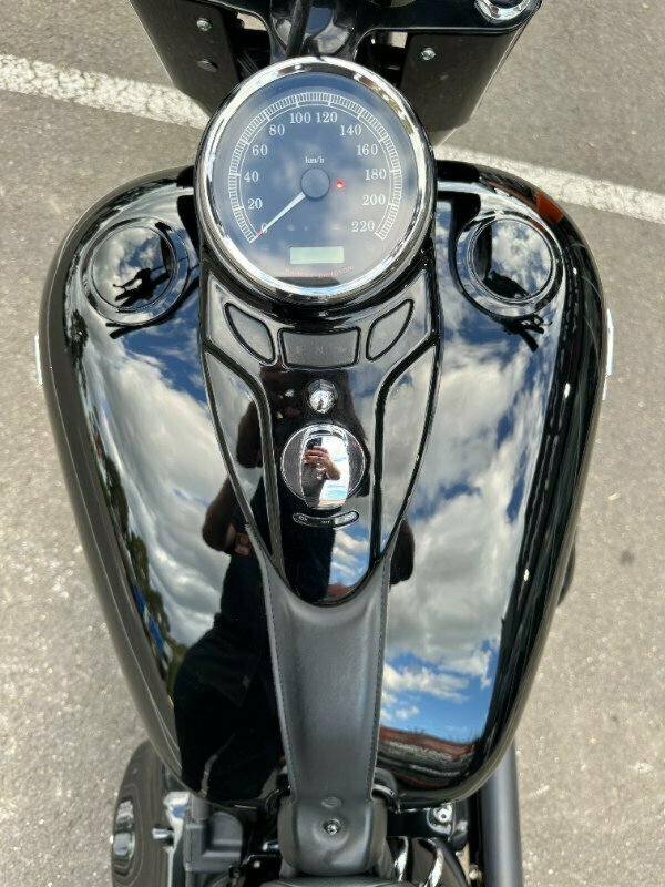 2015 HARLEY-DAVIDSON FLS SOFTAIL SLIM CRUISER