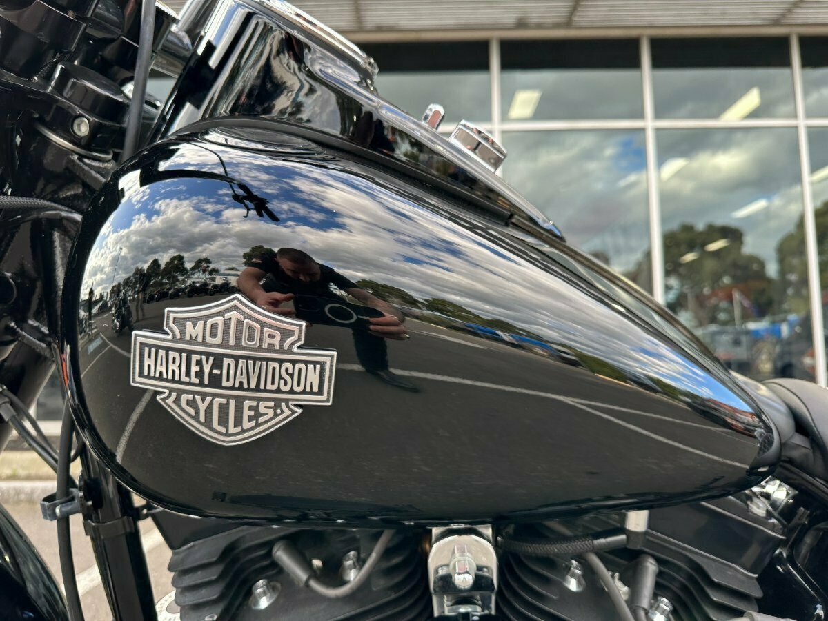 2015 HARLEY-DAVIDSON FLS SOFTAIL SLIM CRUISER