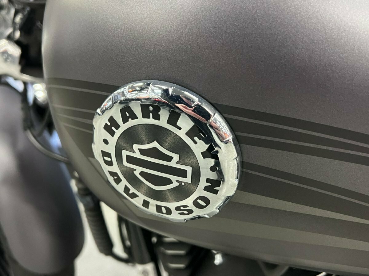 2017 HARLEY-DAVIDSON FXSB SOFTAIL BREAKOUT CRUISER
