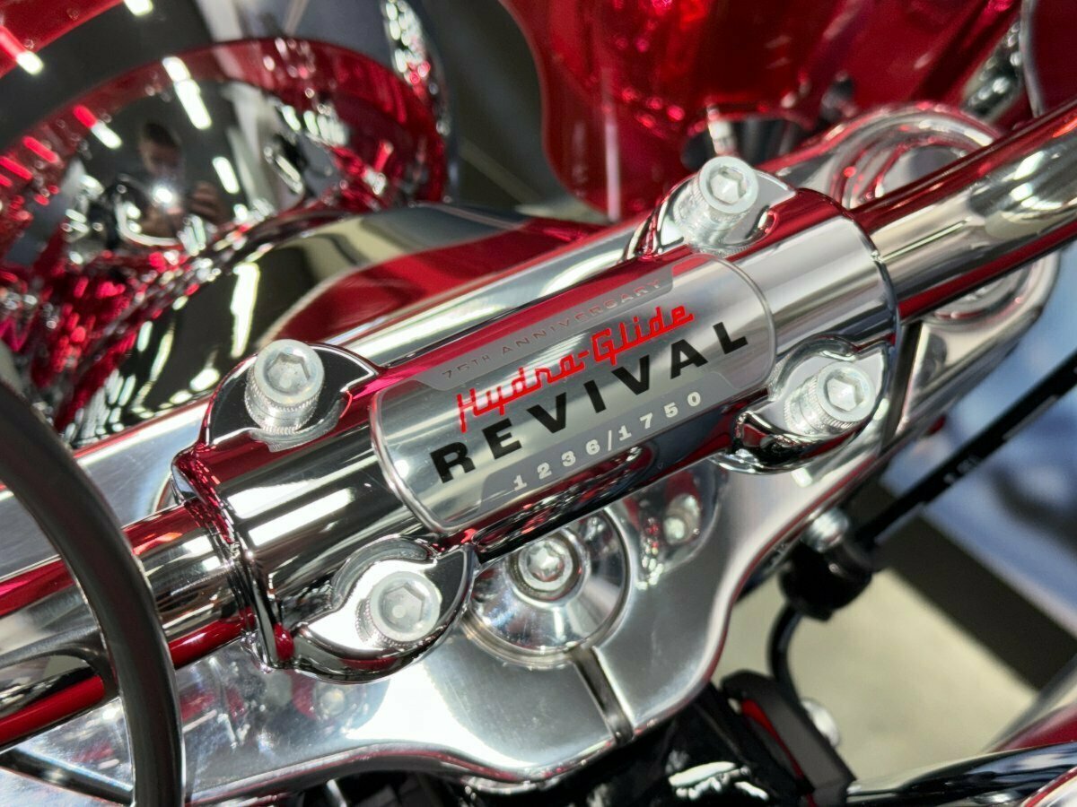 2024 HARLEY-DAVIDSON FLI HYDRA GLIDE REVIVAL (114) MY24 CRUISER