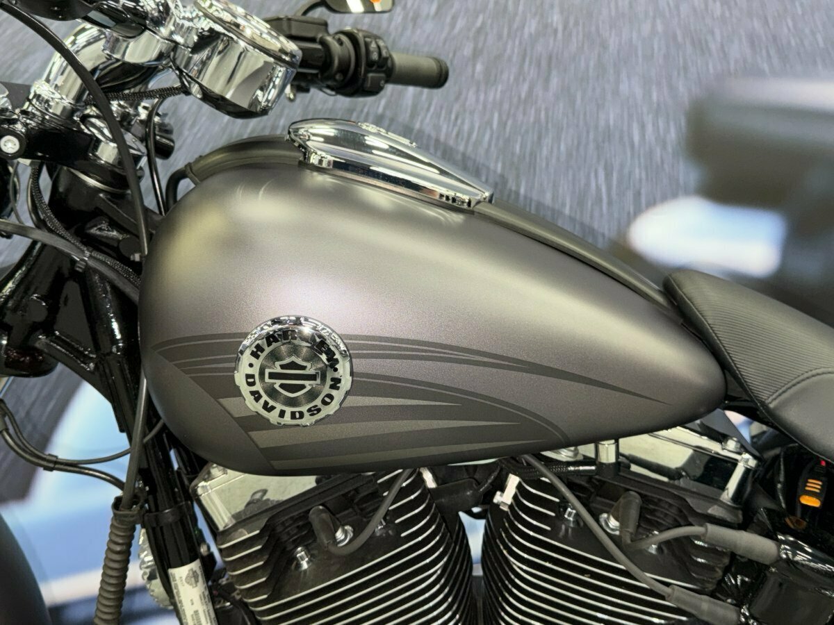 2017 HARLEY-DAVIDSON FXSB SOFTAIL BREAKOUT CRUISER