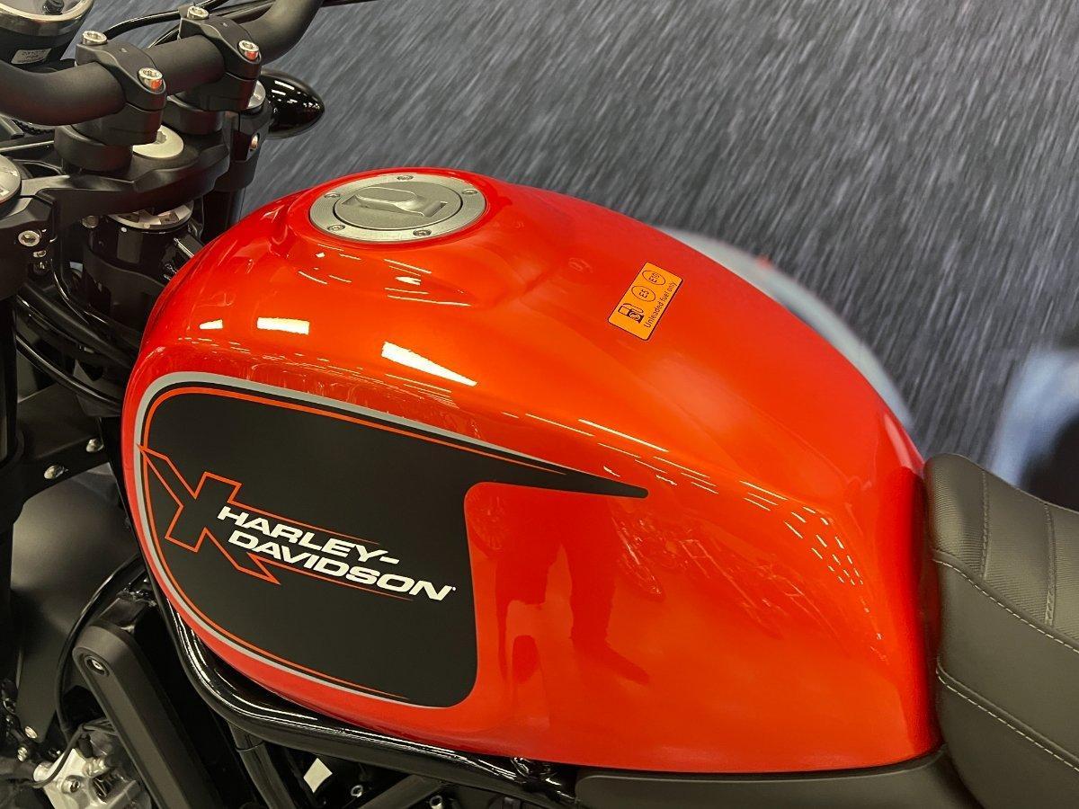 2024 HARLEY-DAVIDSON HD500-10A H-DX X500 MY24 CRUISER