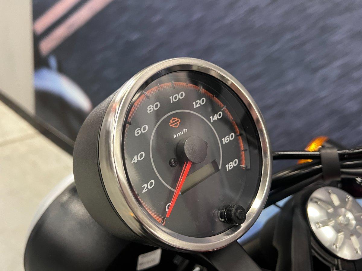 2024 HARLEY-DAVIDSON HD500-10A H-DX X500 MY24 CRUISER