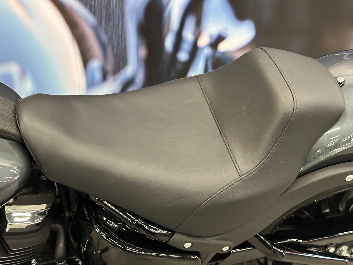 2025 HARLEY-DAVIDSON LOW RIDER S 117 (FXLRS) CRUISER