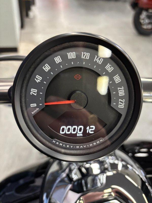2025 HARLEY-DAVIDSON BREAKOUT 117 (FXBR) CRUISER