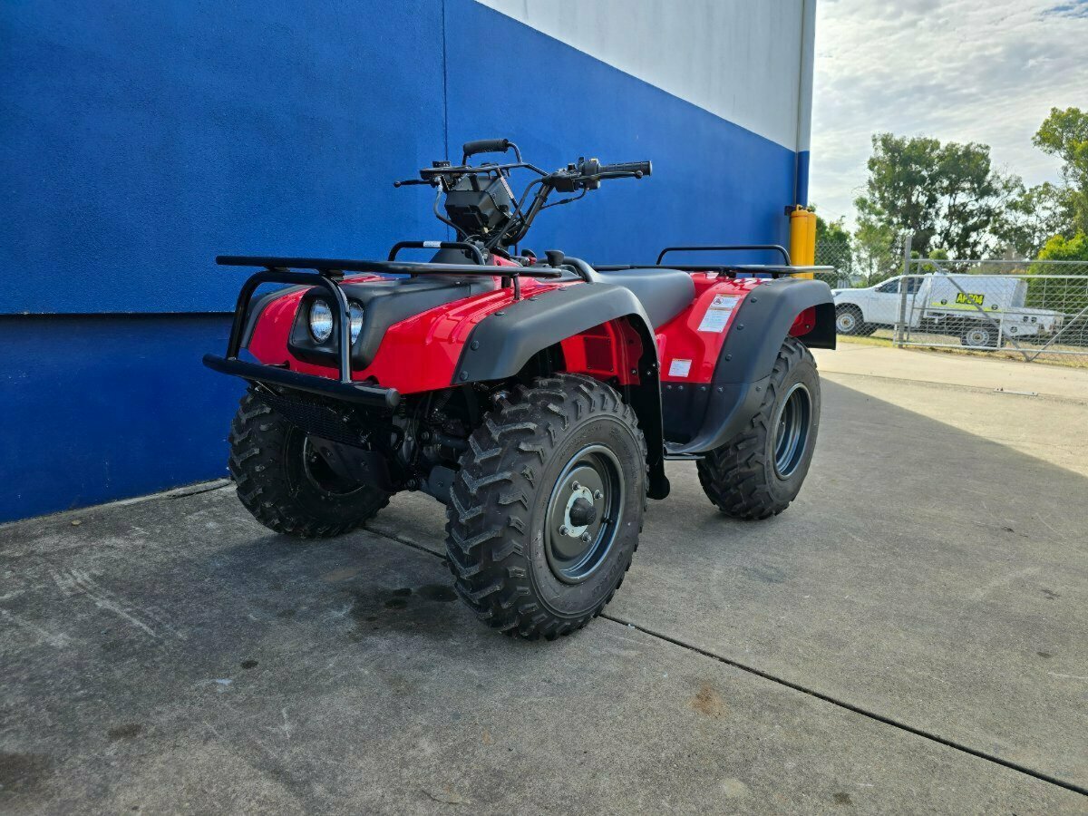 2019 SUZUKI KINGQUAD 300 (LT-F300F) 4X4 ATV