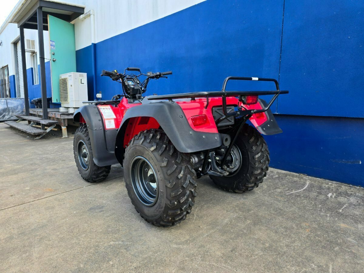 2019 SUZUKI KINGQUAD 300 (LT-F300F) 4X4 ATV