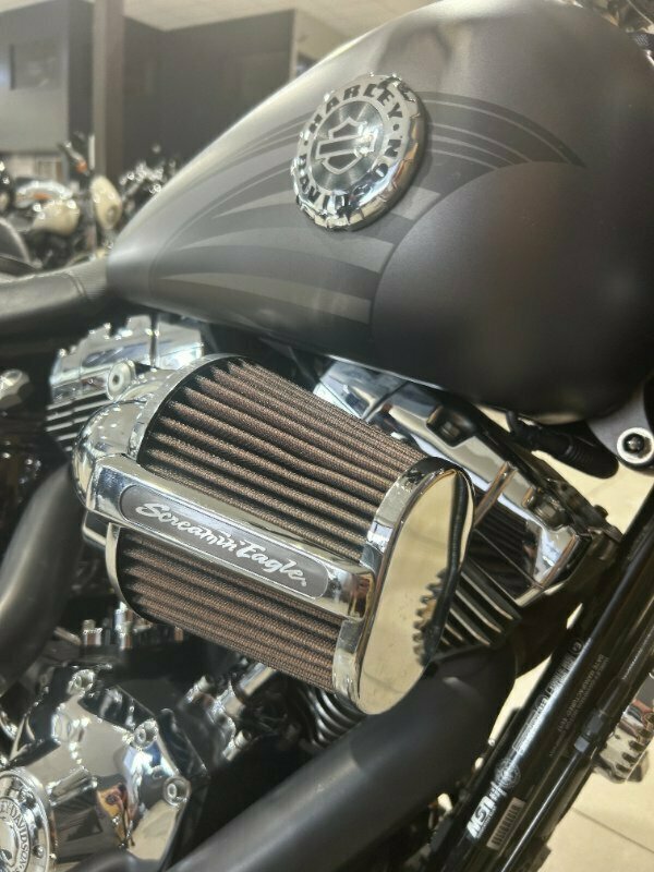 2017 HARLEY-DAVIDSON FXSB SOFTAIL BREAKOUT CRUISER