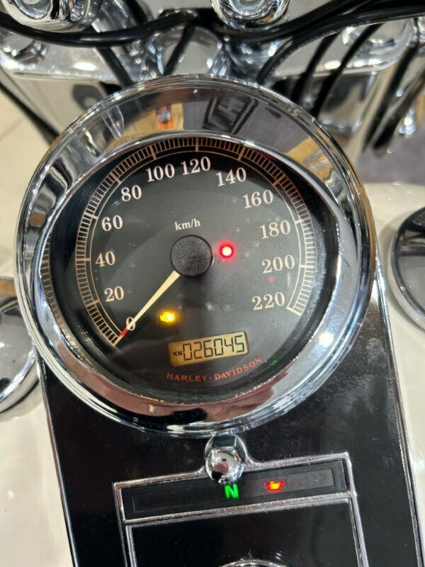 2013 HARLEY-DAVIDSON FLSTN SOFTAIL DELUXE CRUISER