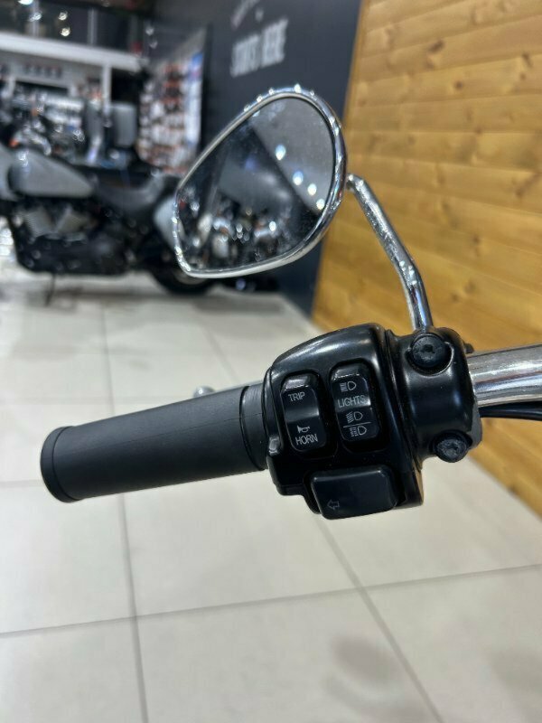 2013 HARLEY-DAVIDSON FLSTN SOFTAIL DELUXE CRUISER
