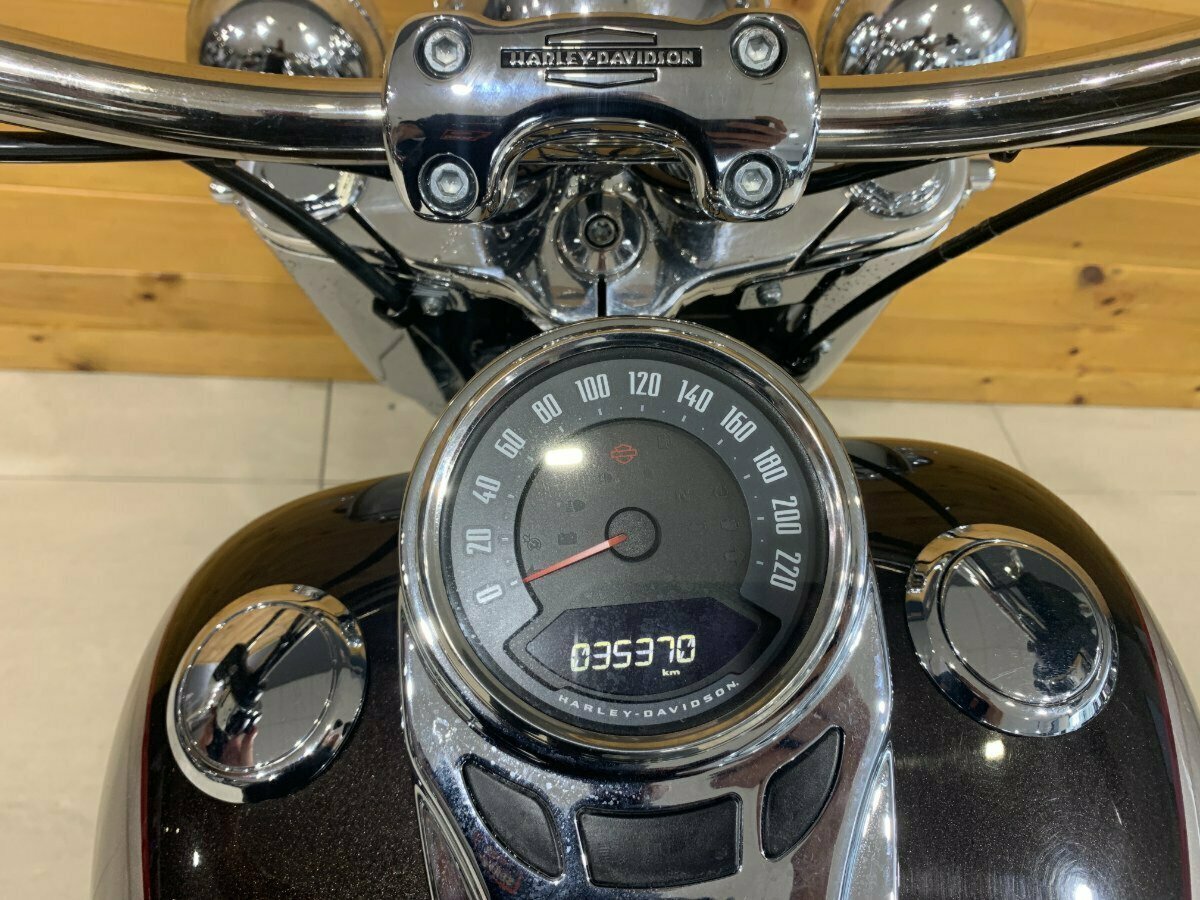 2018 HARLEY-DAVIDSON FLDE SOFTAIL DELUXE CRUISER