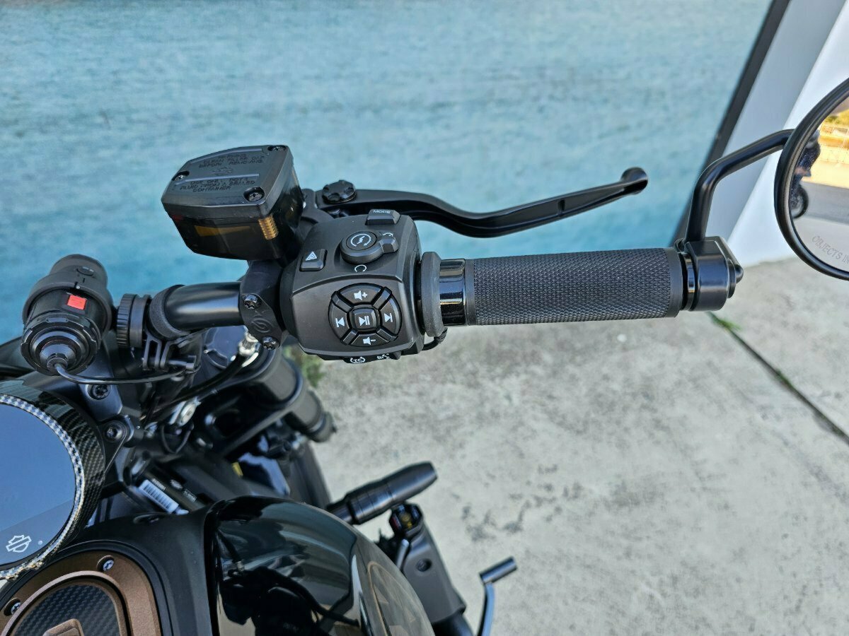 2022 HARLEY-DAVIDSON SPORTSTER S CRUISER