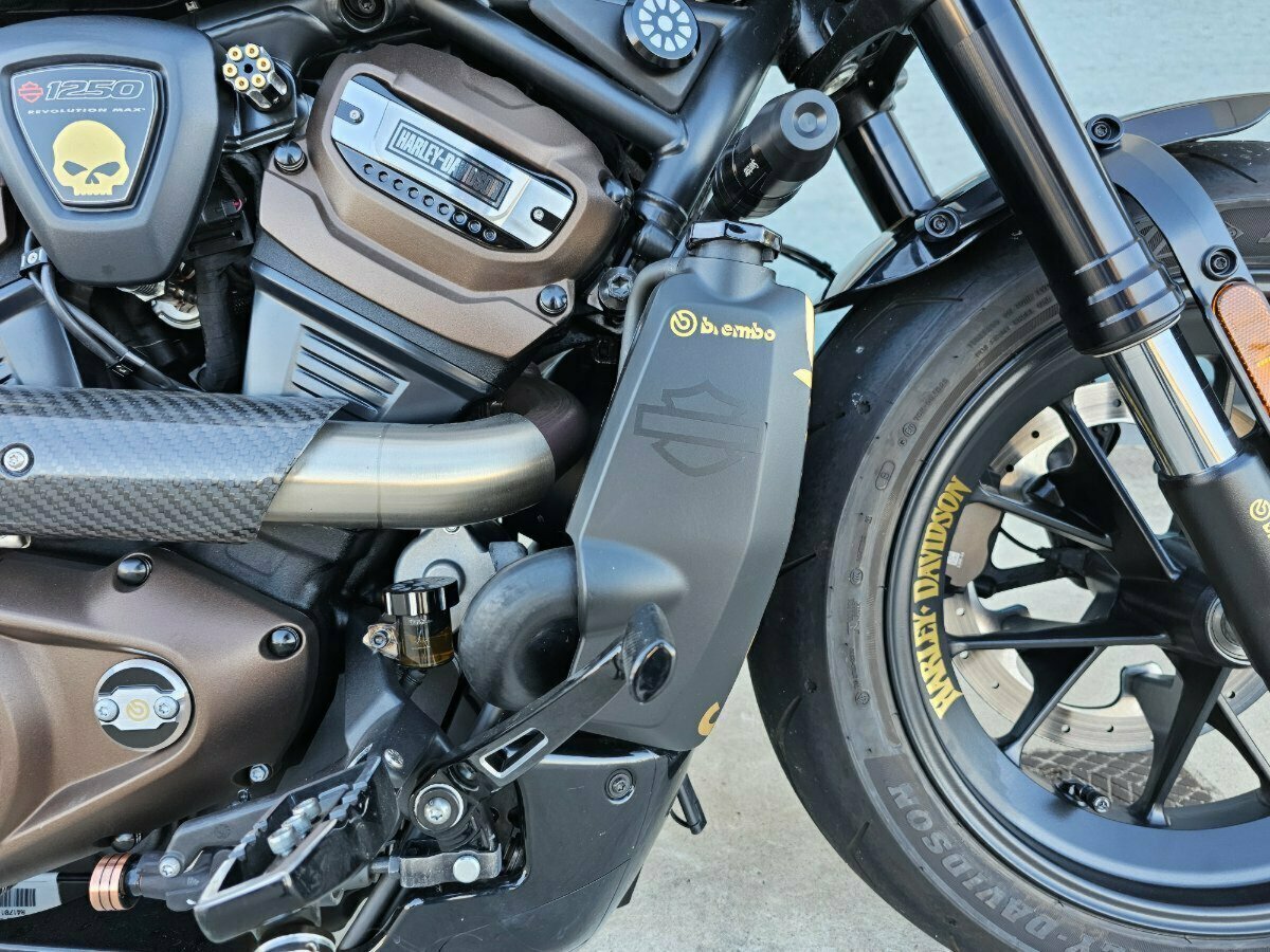 2022 HARLEY-DAVIDSON SPORTSTER S CRUISER