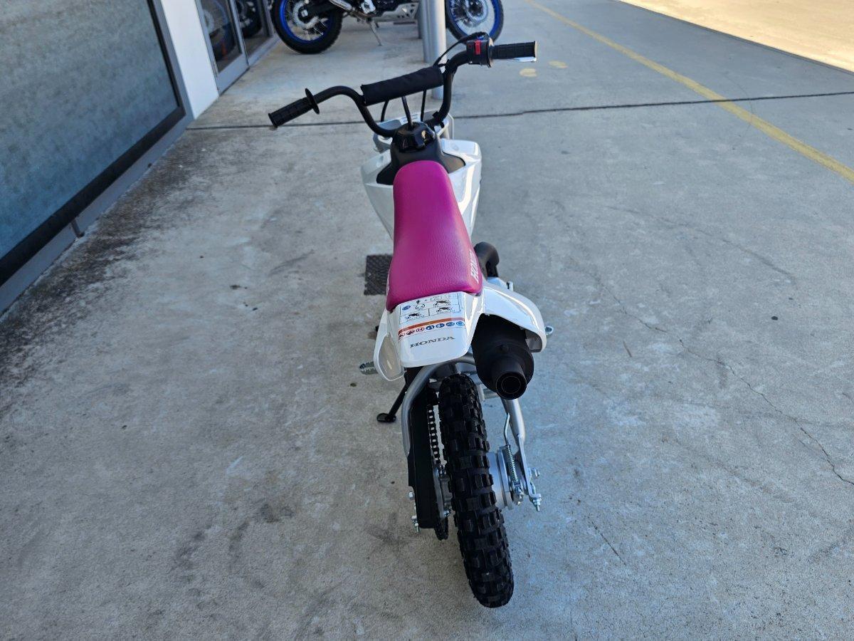 2025 HONDA CRF50F MINI TRAIL