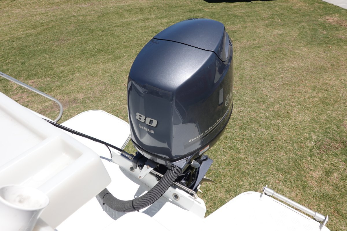 2011 HORIZON 485 SUNRUNNER RUNABOUT