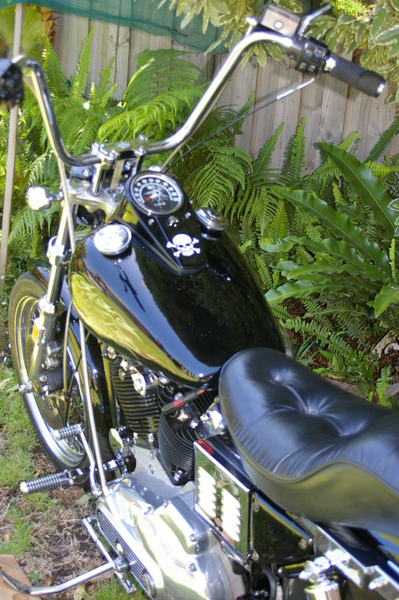 1984 HARLEY-DAVIDSON SPORTSTER XLH1000