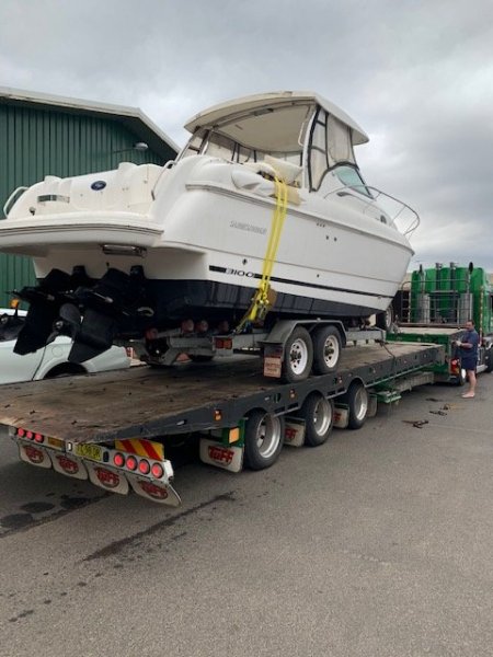 SUNRUNNER 3100 SPORT FISHER