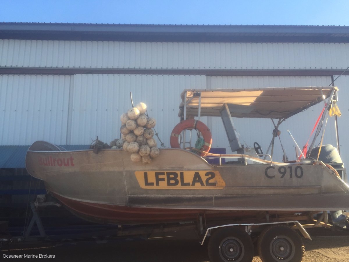 2x NET FISHING LICENSES