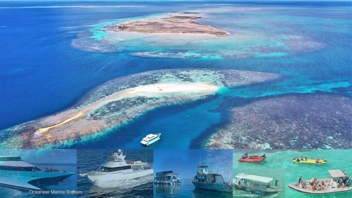 WALK IN MARINE TOURISM BUSINESS