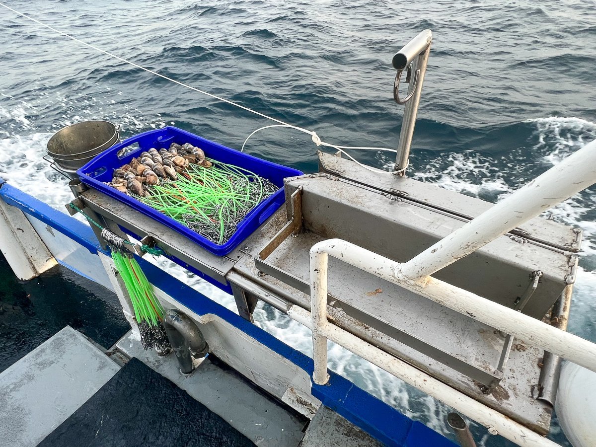STEEL FISHING VESSEL