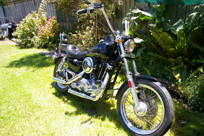1984 HARLEY-DAVIDSON SPORTSTER XLH1000
