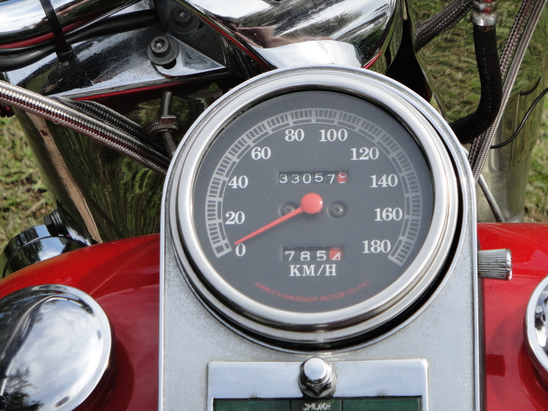 1969 HARLEY-DAVIDSON FL SHOVELHEAD
