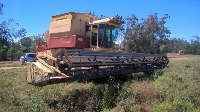1984 NEW HOLLAND TR95 TR95 TR95 HarvesterHeader