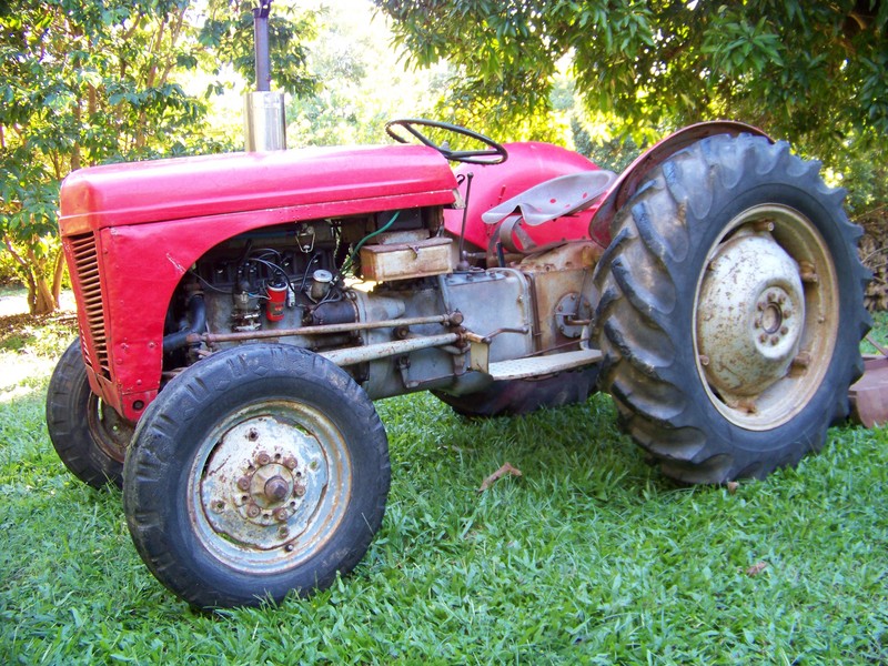 1952 FERGUSON TED20