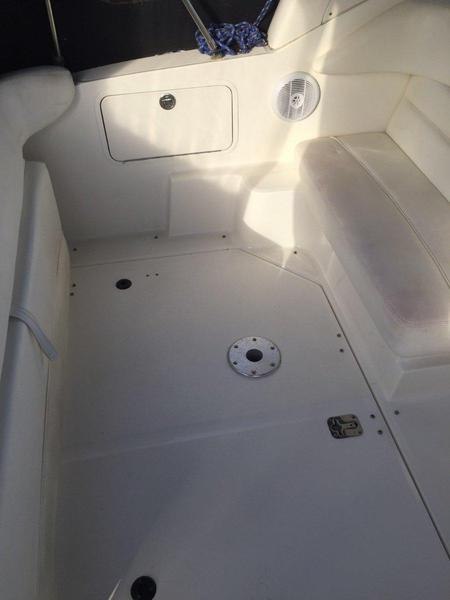 Sea Ray 315 Sundancer Including Hillarys PEN!
