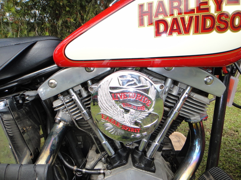 1969 HARLEY-DAVIDSON FL SHOVELHEAD
