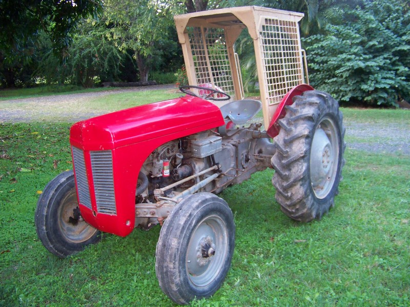 HARRY FERGUSON 1954 TED TRACTOR