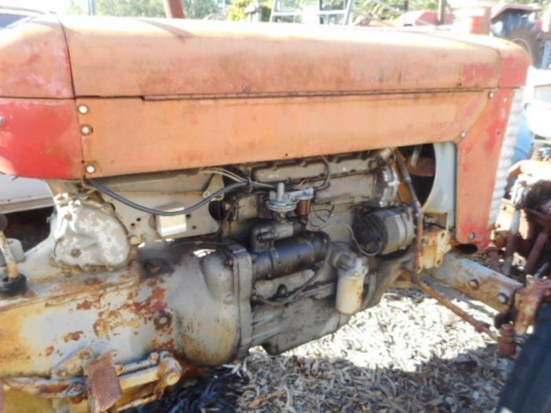 MASSEY FERGUSON Other 65 Tractor Tractor