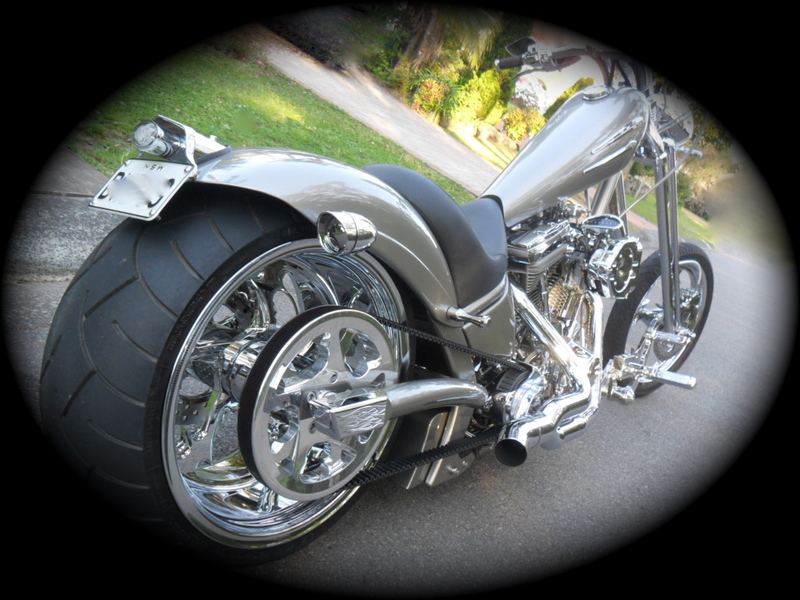 1988/11 HARLEY-DAVIDSON CUSTOM BUILT CHOPPER Softail