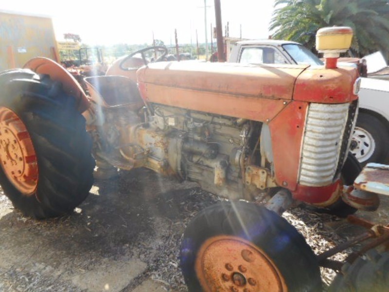 MASSEY FERGUSON Other 65 Tractor Tractor