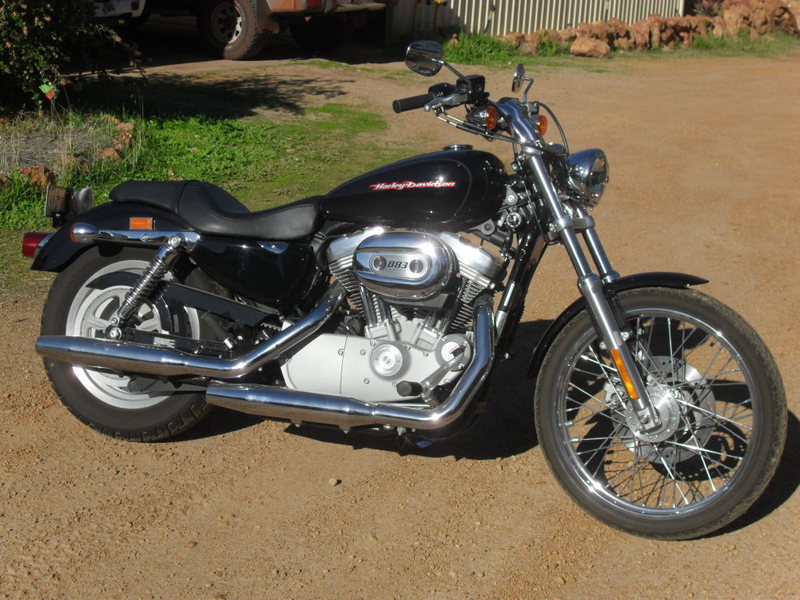 2007 HARLEY-DAVIDSON SPORTSTER CUSTOM XL883C