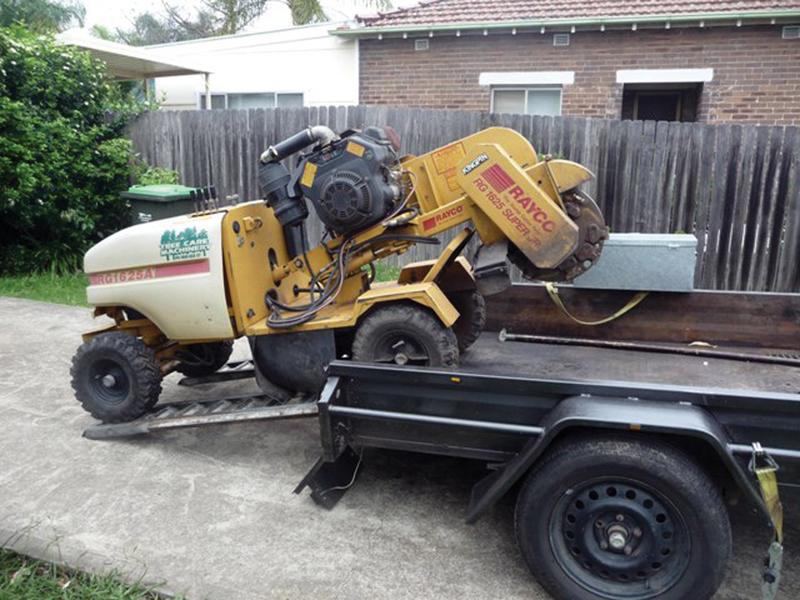 RAYCO 1625A SUPER JUNIOR STUMP GRINDER