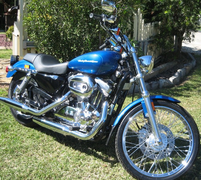 2005 HARLEY-DAVIDSON XL883C SPORTSTER CUSTOM