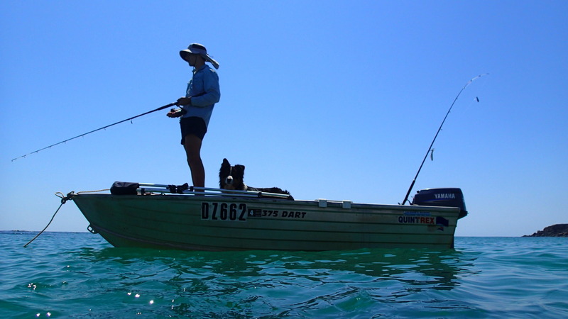 2009 QUINTREX 375 DART MY08