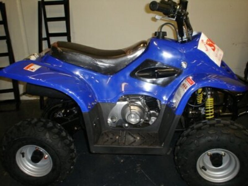 2011 FURY 70cc ATV Other