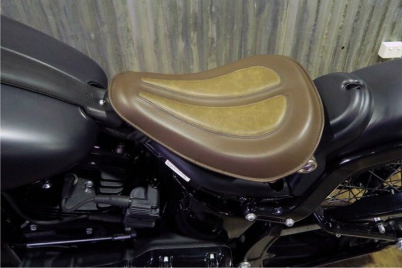 2017 HARLEY-DAVIDSON 1700CC FLS SOFTAIL SLIM MY17