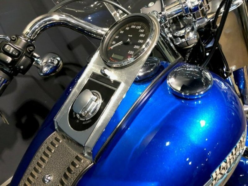 2009 HARLEY-DAVIDSON FLSTF Fat Boy